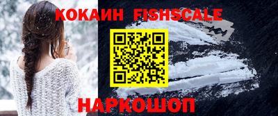 стаф Гатчина