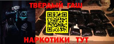 стаф Гатчина