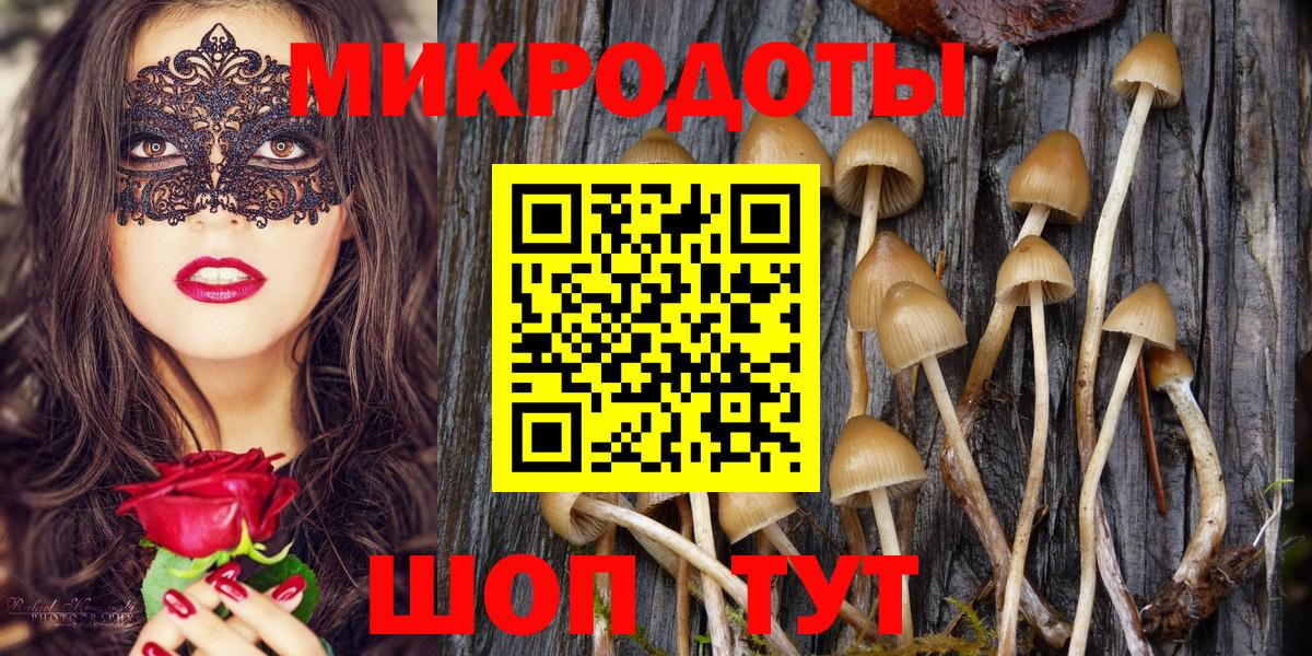 Псилоцибиновые грибы GOLDEN TEACHER  хочу   Отрадное  Вход с VPN 